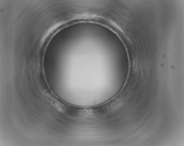 X0000060741315200511241628