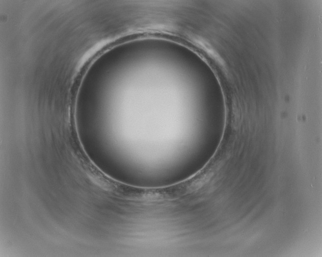 X0000060741316200511241628