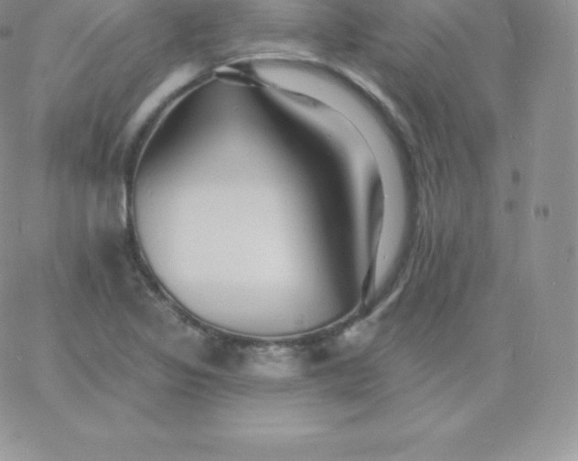 X0000060741317200511241628