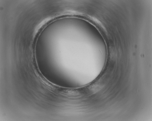 X0000060741318200511241628