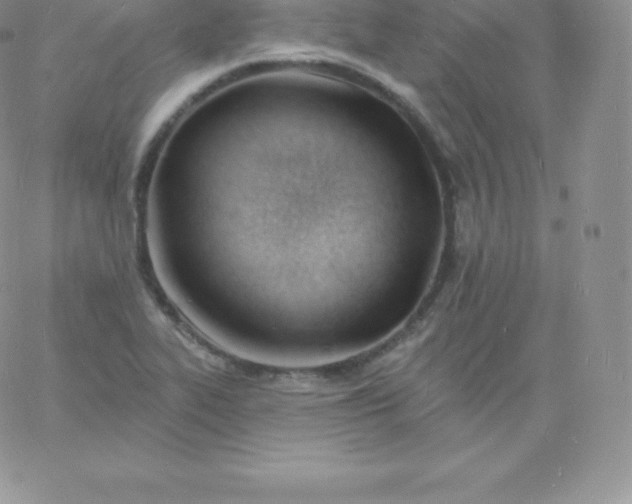 X0000060741319200511241628