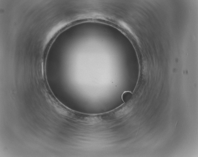 X0000060741320200511241628