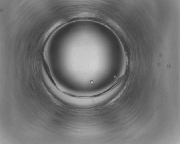 X0000060741321200511241628