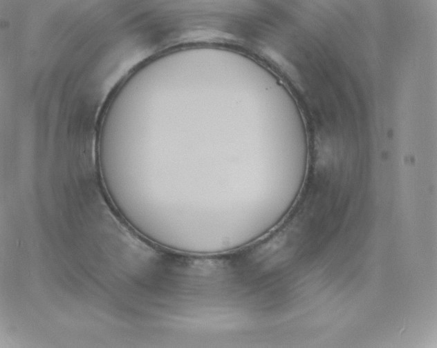 X0000060741322200511241628