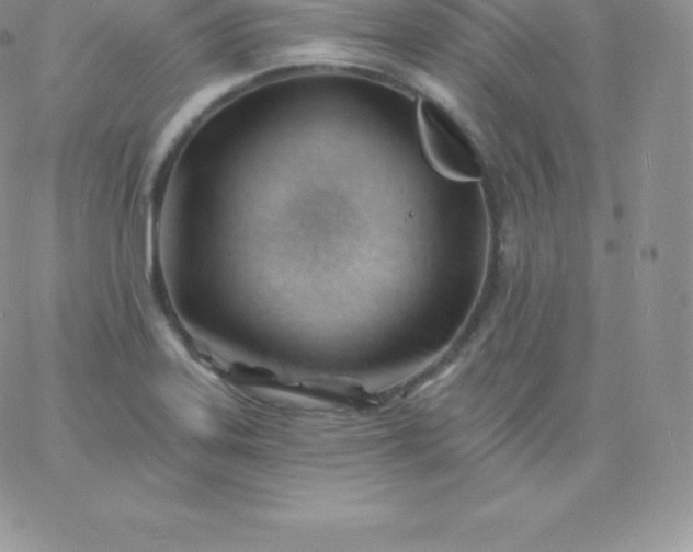 X0000060741323200511241628