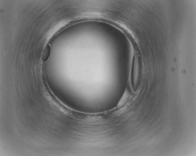 X0000060741325200511241628