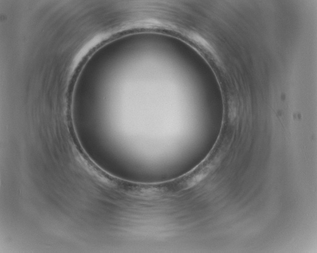 X0000060741326200511241628