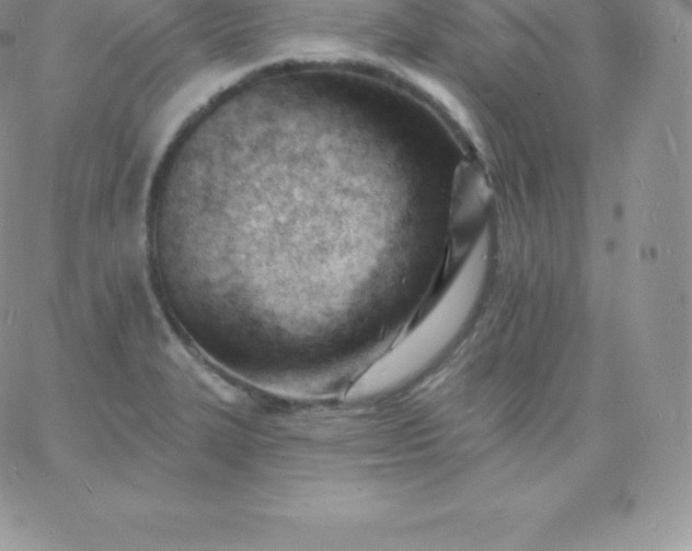 X0000060741327200511241628