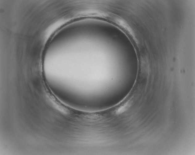 X0000060741328200511241628