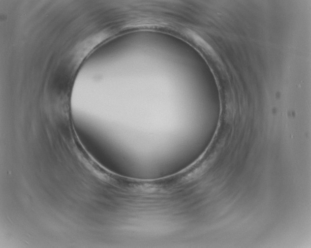 X0000060741329200511241628