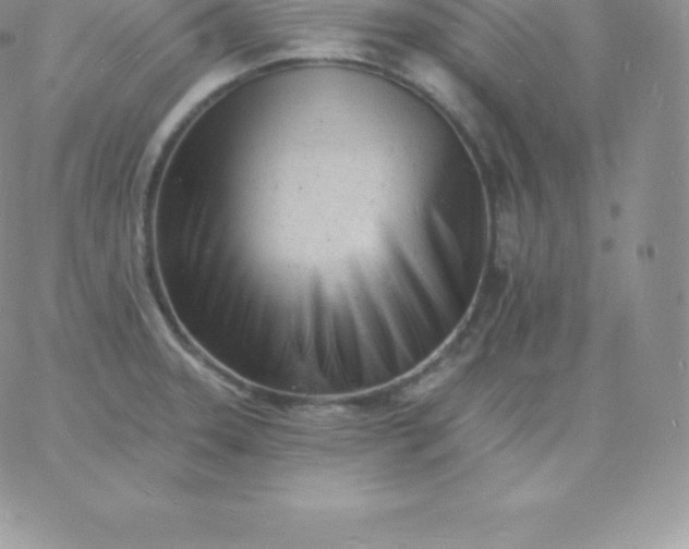 X0000060741331200511241628