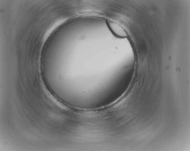 X0000060741333200511241628