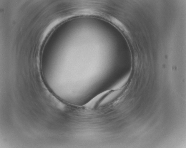 X0000060741334200511241628