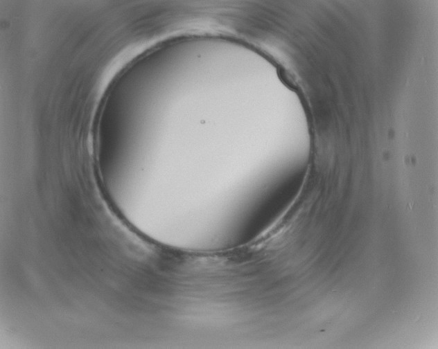 X0000060741335200511241628