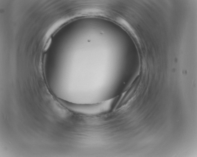 X0000060741336200511241628