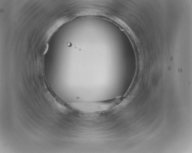 X0000060741337200511241628