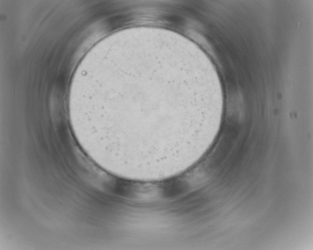 X0000060741338200511241628