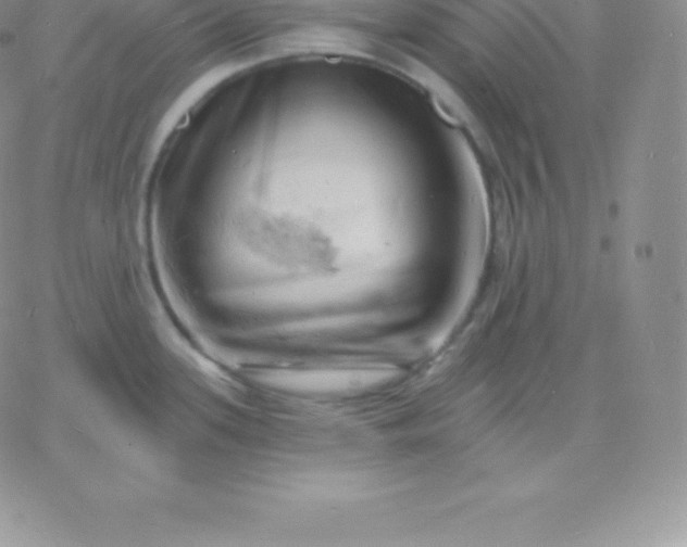 X0000060741339200511241628