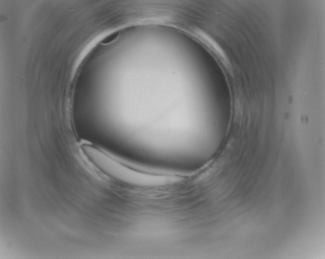 X0000060741340200511241628