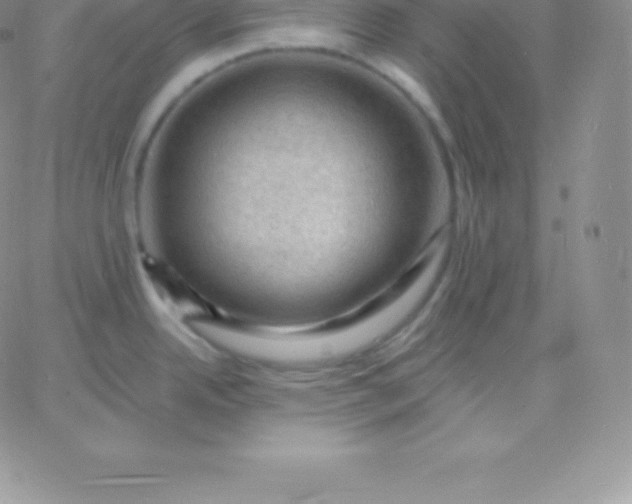 X0000060741342200511241628