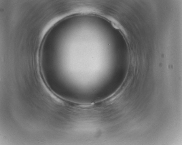 X0000060741343200511241628