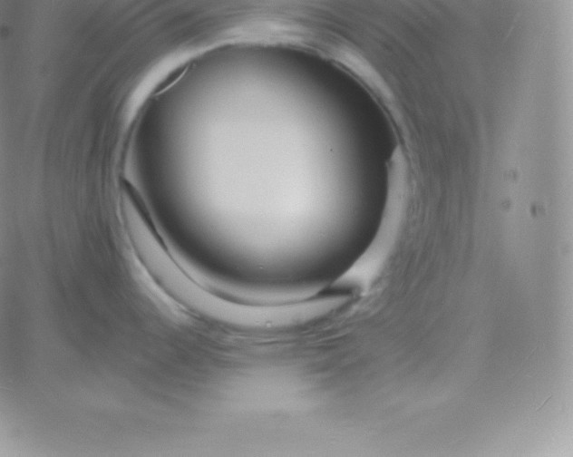 X0000060741344200511241628