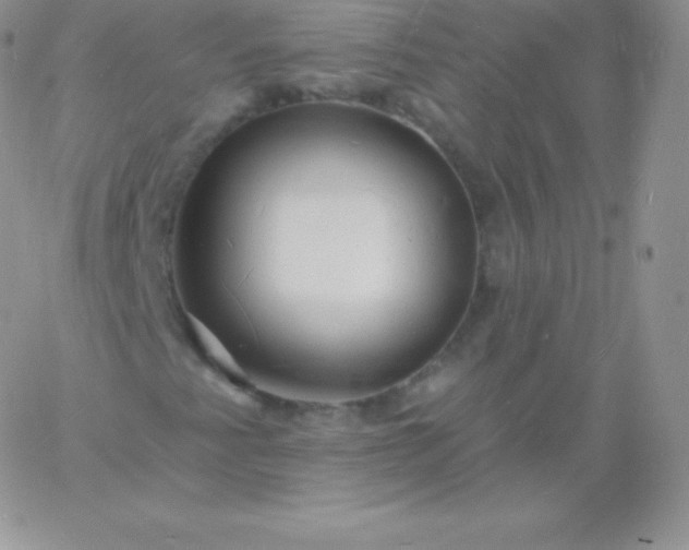 X0000060741345200511241628