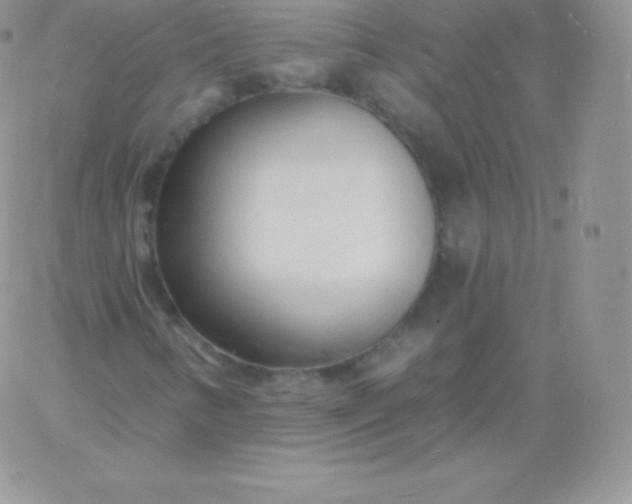 X0000060741346200511241628