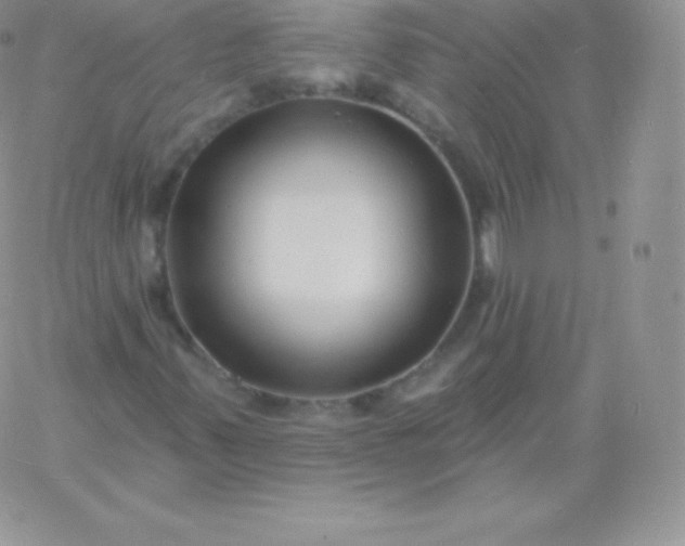 X0000060741347200511241628