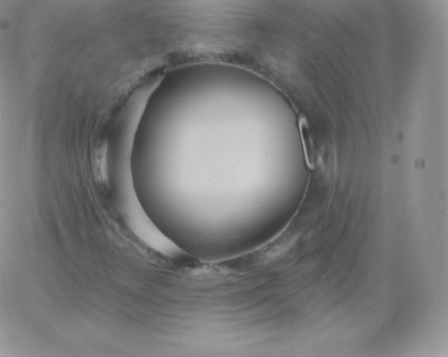 X0000060741348200511241627