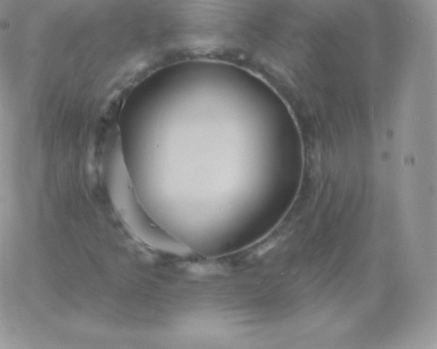 X0000060741349200511241627