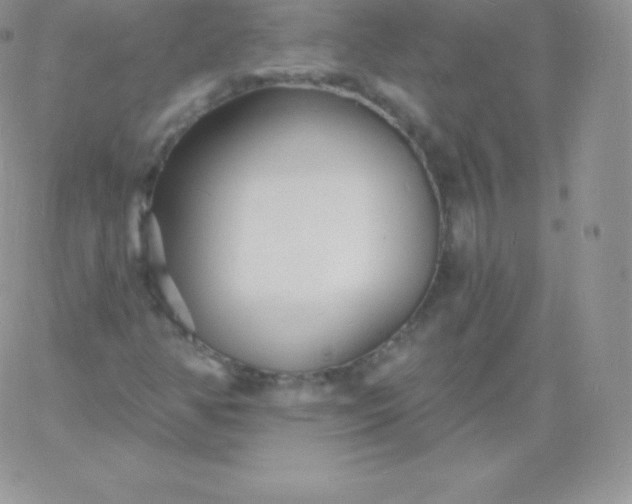 X0000060741350200511241627