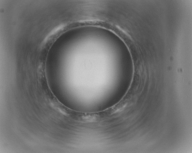 X0000060741351200511241627