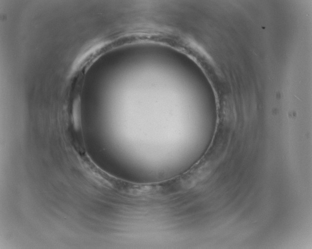 X0000060741352200511241627