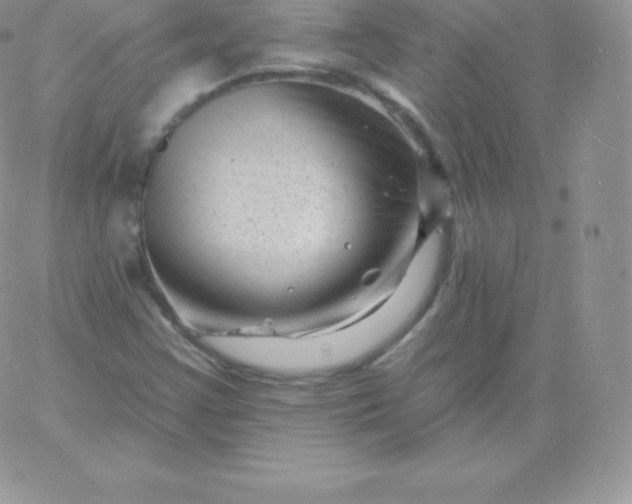 X0000060741355200511241627