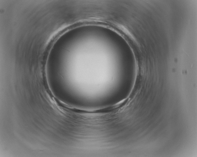 X0000060741356200511241627