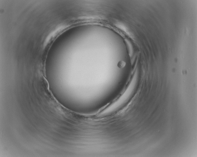 X0000060741357200511241627