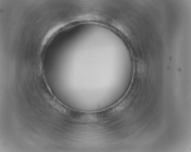 X0000060741358200511241627