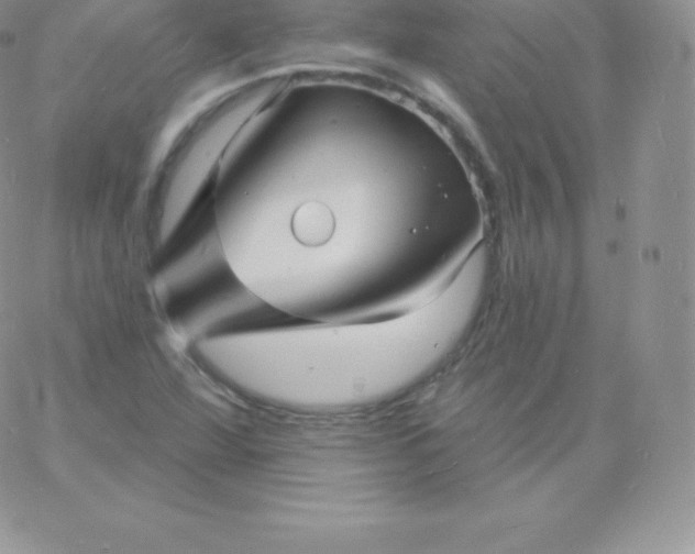 X0000060741360200511241627