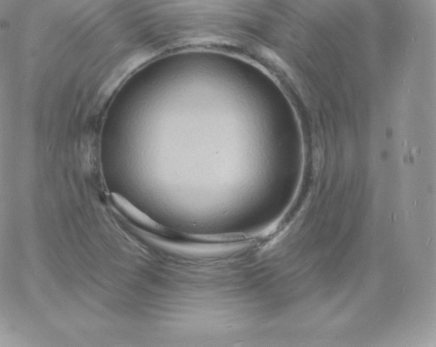 X0000060741361200511241627