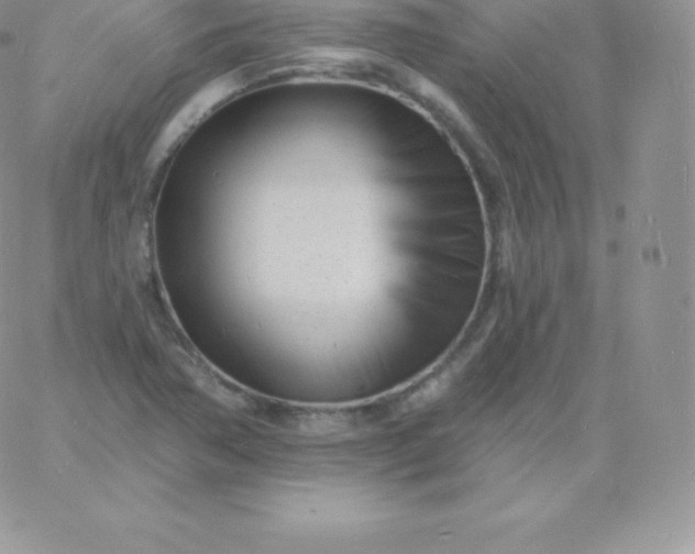 X0000060741362200511241627