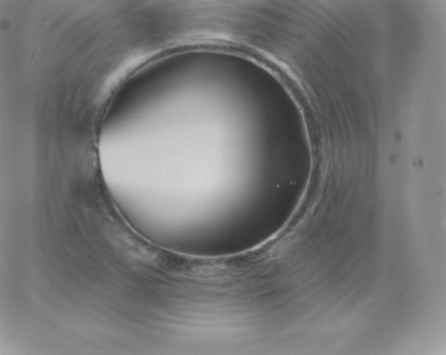 X0000060741363200511241627