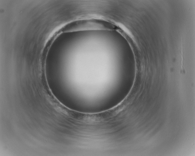 X0000060741364200511241627