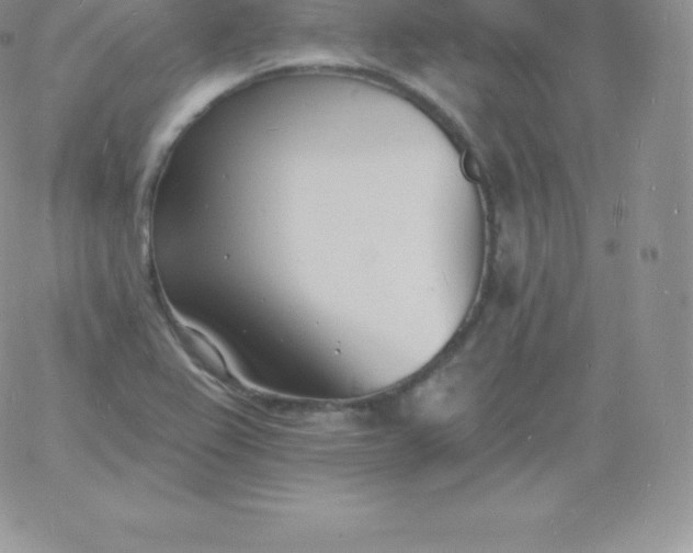 X0000060741367200511241627