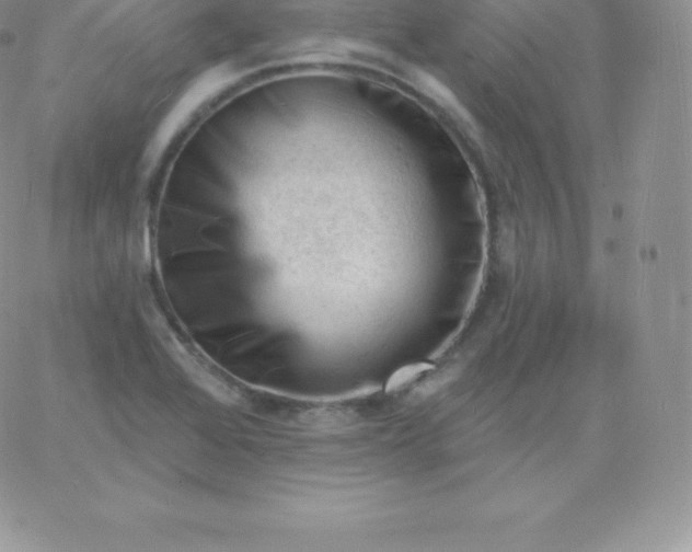 X0000060741368200511241627