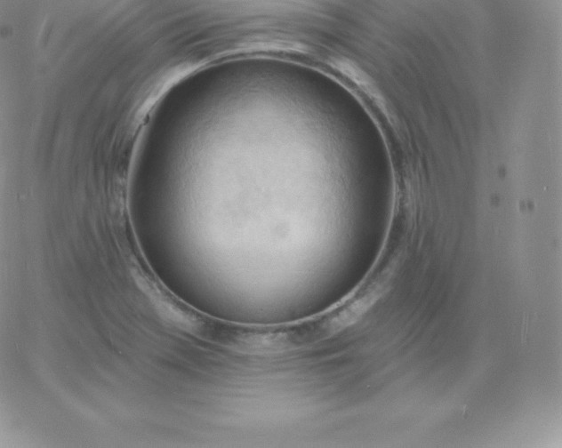 X0000060741369200511241627