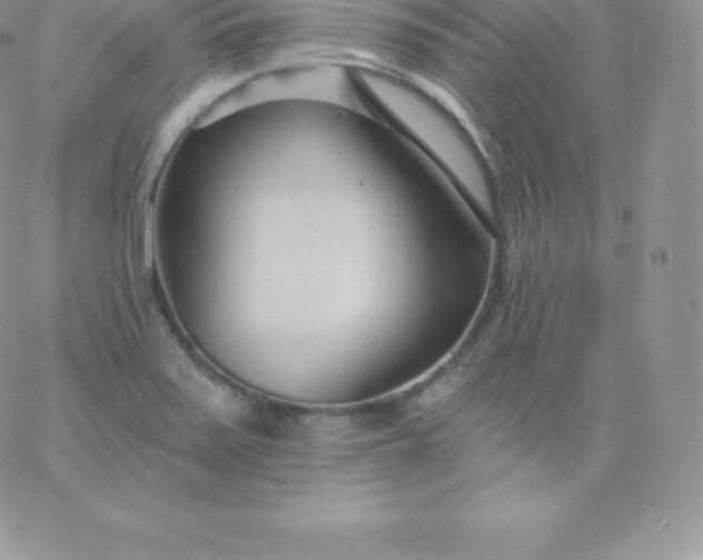 X0000060741371200511241627