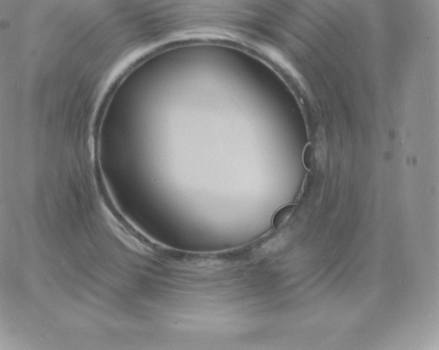 X0000060741372200511241627