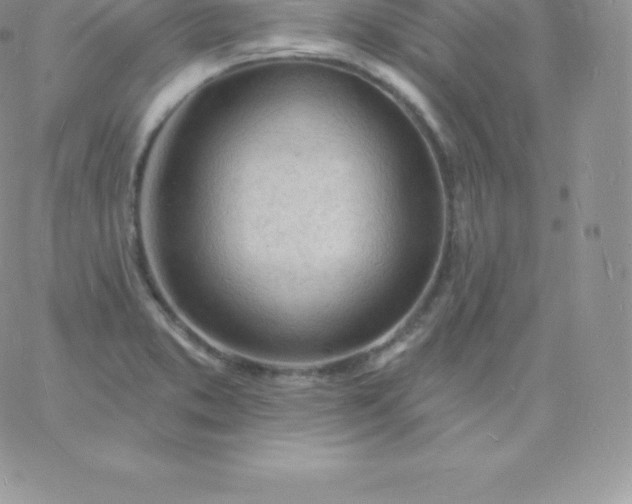 X0000060741373200511241627