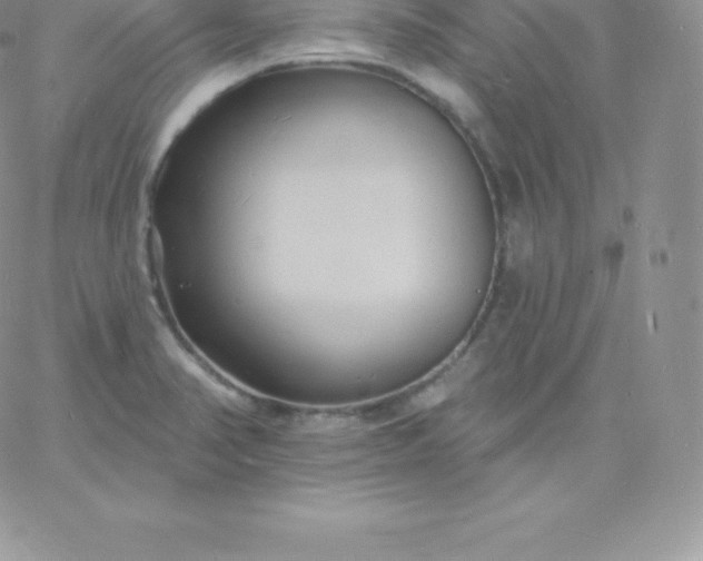 X0000060741374200511241627